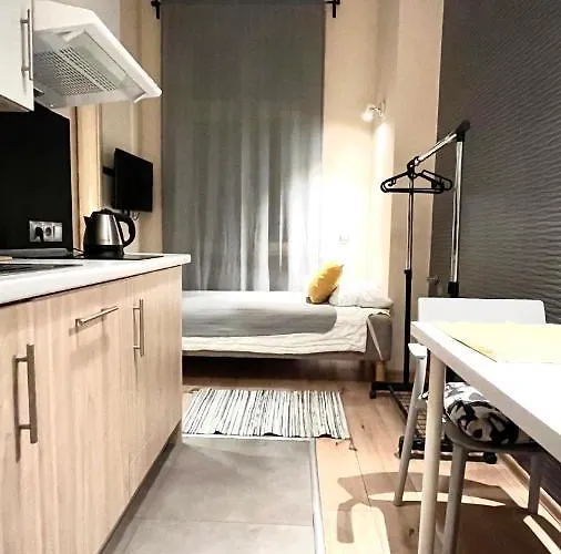 Single In Center Apartament