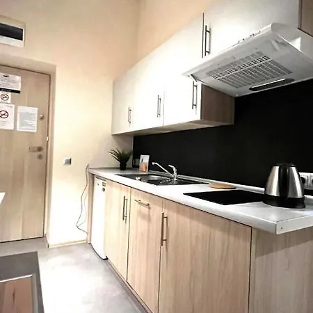 Single In Center Apartman Krakkó